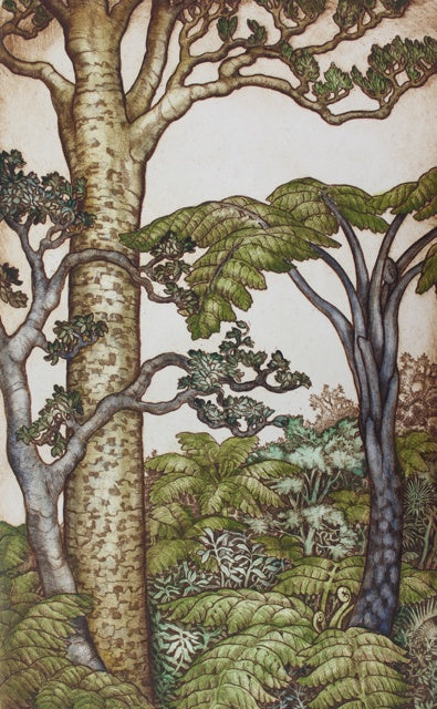 Renaissance II Kauri